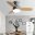 ceiling fans with lights Smart Fan Light Ceiling Macarons 9