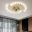ceiling fans with light 4
