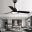 modern wood ceiling fan with light 10